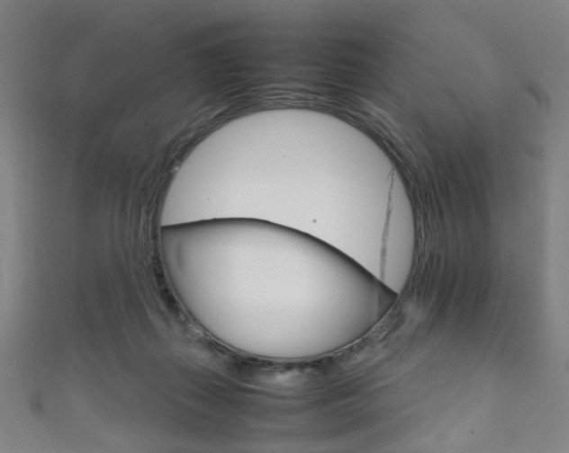 X0000111860267200907231136