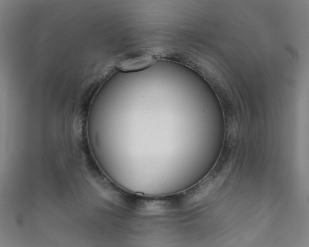 X0000111860268200907231136