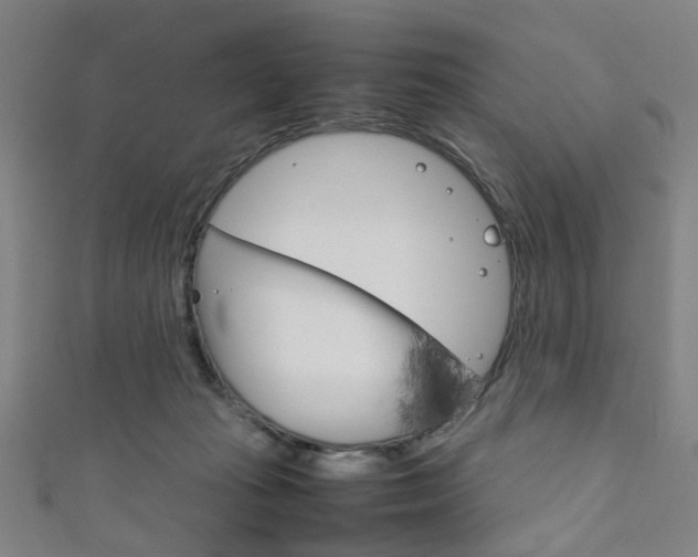 X0000111860269200907231136