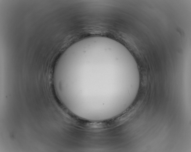 X0000111860273200907231136