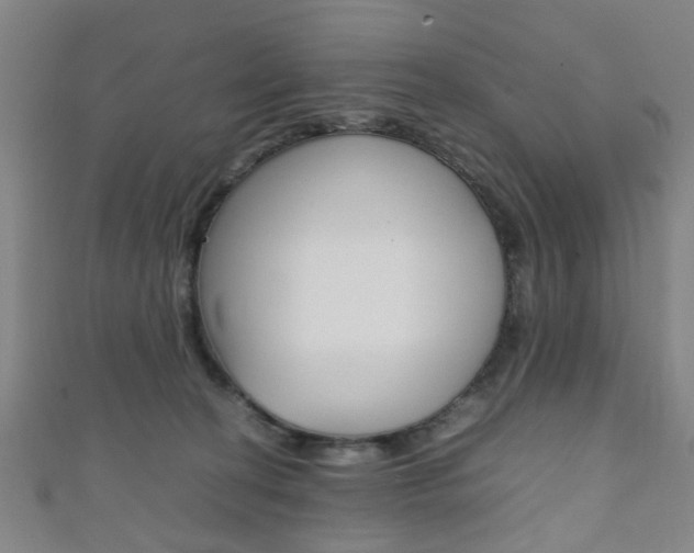 X0000111860274200907231136