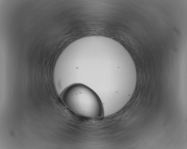 X0000111860276200907231137