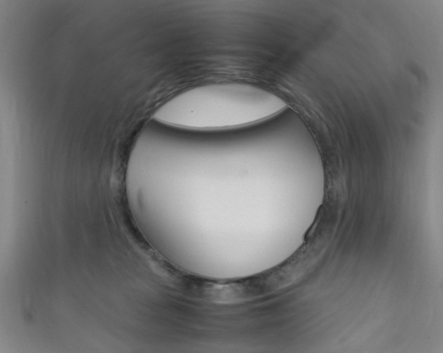 X0000111860277200907231137