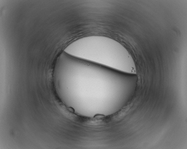 X0000111860278200907231137