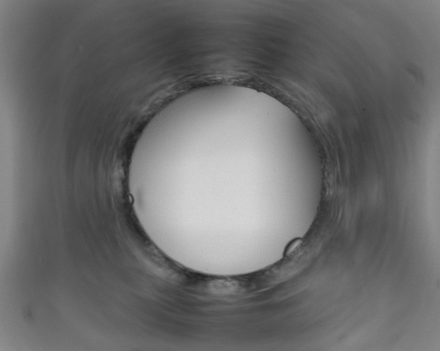 X0000111860279200907231137