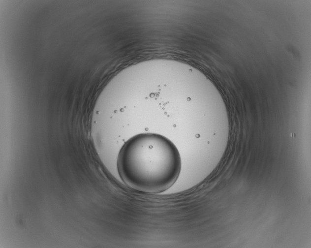 X0000111860280200907231137
