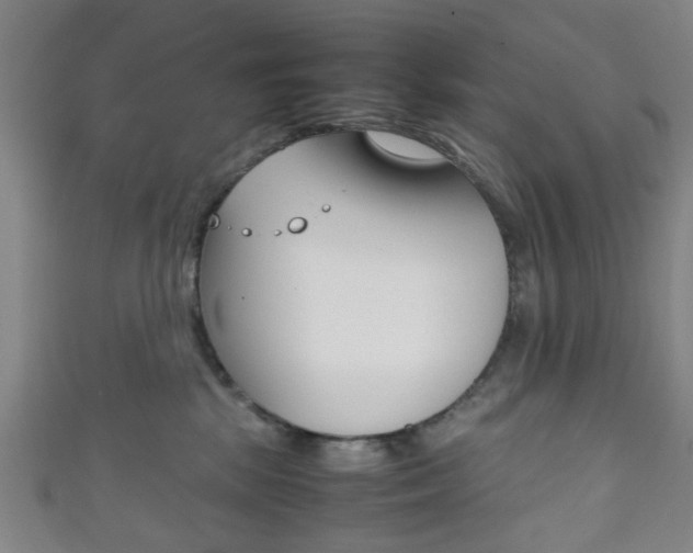 X0000111860281200907231137