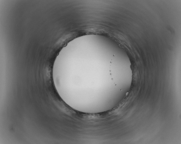 X0000111860282200907231137
