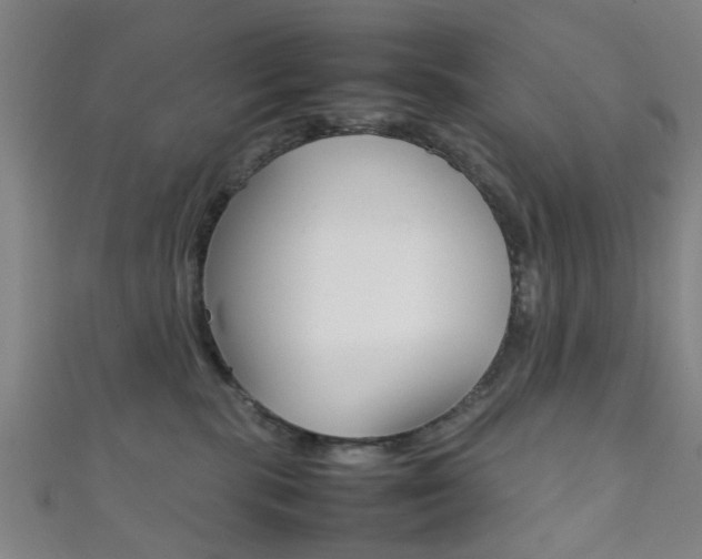 X0000111860283200907231137