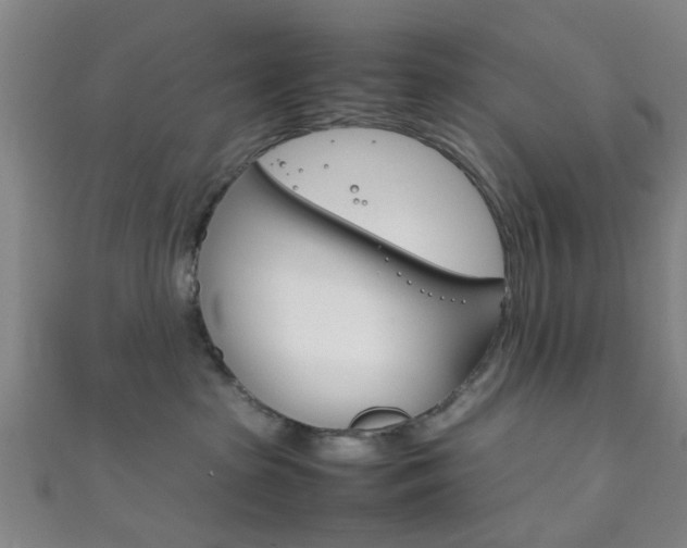 X0000111860285200907231137