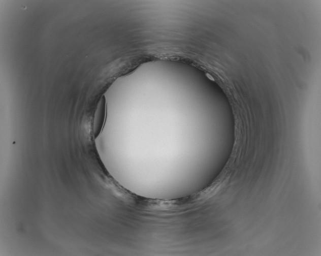 X0000111860288200907231137
