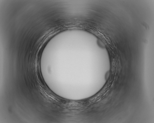 X0000111860290200907231136