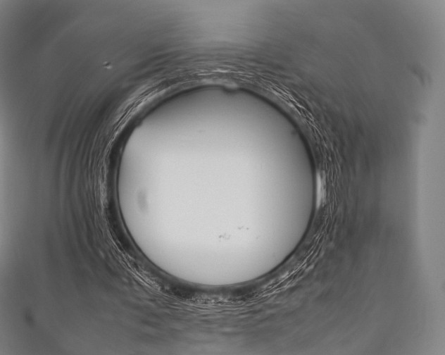 X0000111860291200907231136