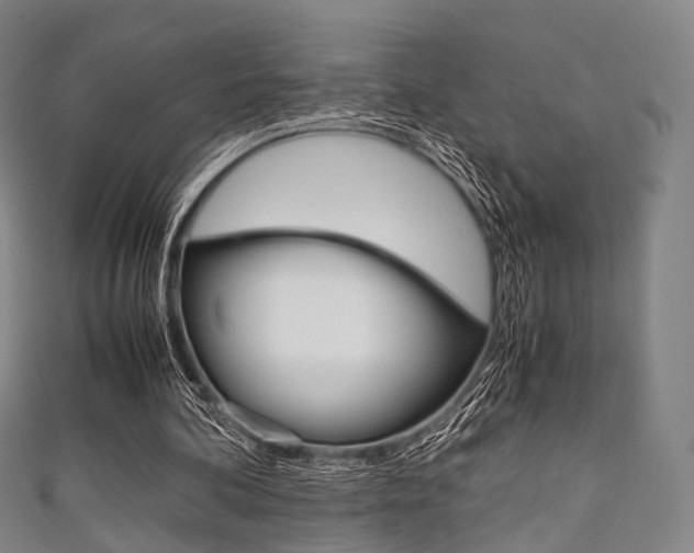 X0000111860292200907231136