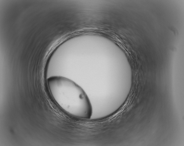 X0000111860293200907231136