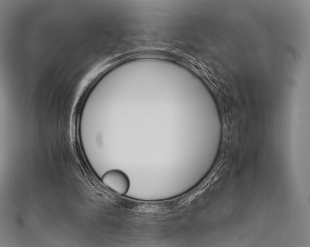 X0000111860294200907231136
