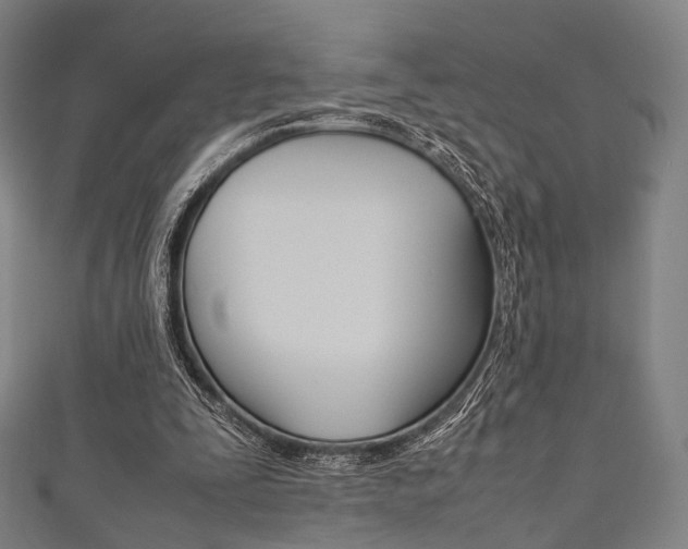X0000111860295200907231136