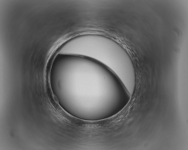 X0000111860296200907231136