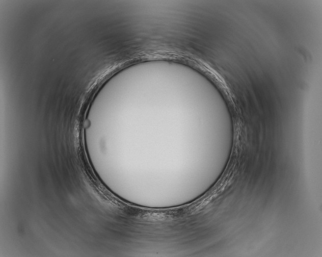 X0000111860298200907231136