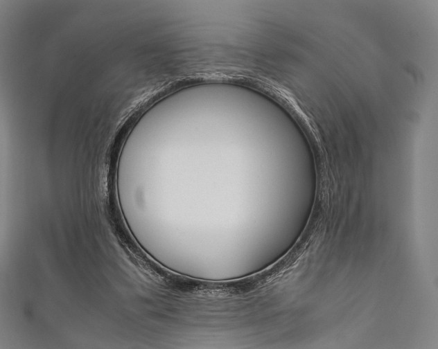 X0000111860299200907231136