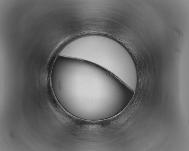 X0000111860304200907231136