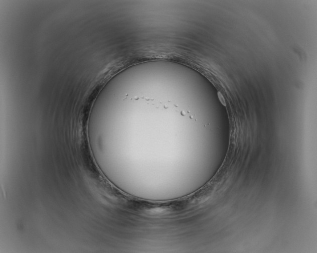 X0000111860312200907231136