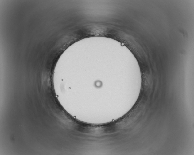 X0000111860313200907231136