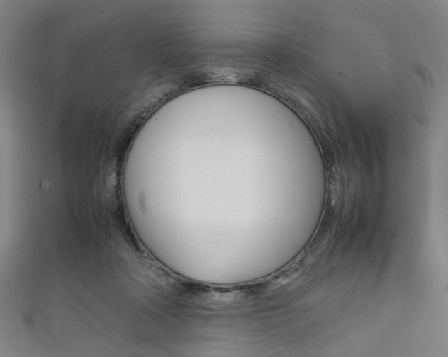 X0000111860314200907231136