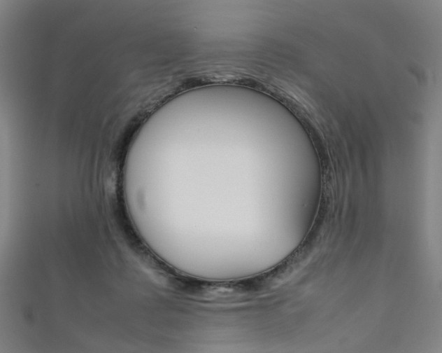 X0000111860315200907231136