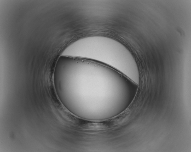 X0000111860316200907231136