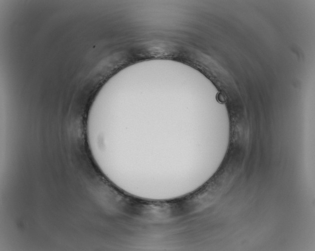 X0000111860317200907231136