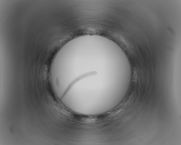 X0000111860318200907231136