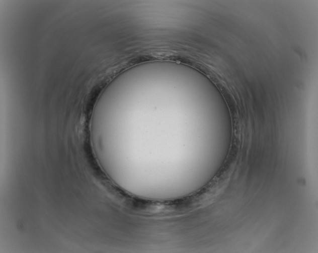 X0000111860319200907231136
