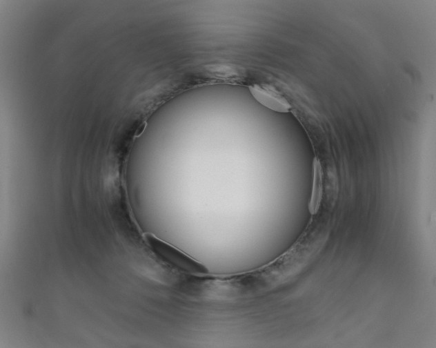 X0000111860320200907231136