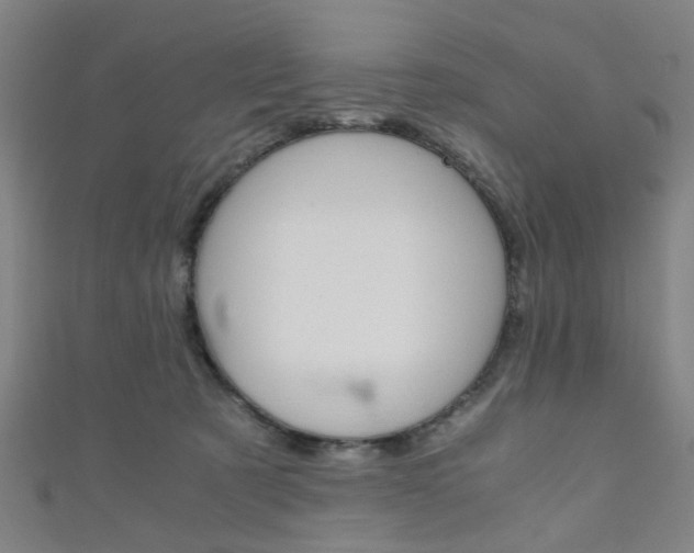 X0000111860321200907231136