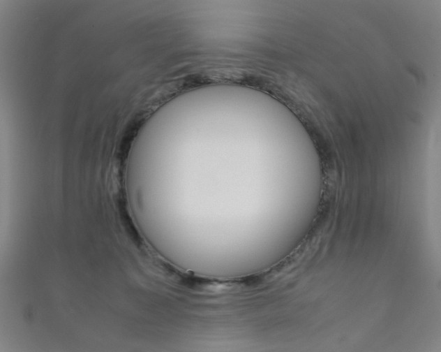 X0000111860323200907231136