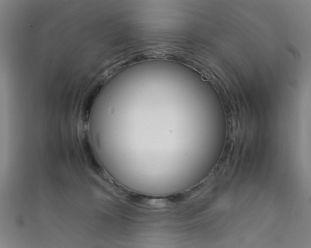 X0000111860324200907231136