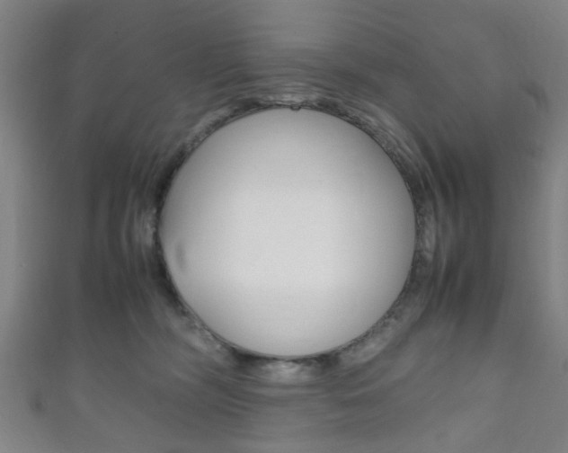 X0000111860326200907231136