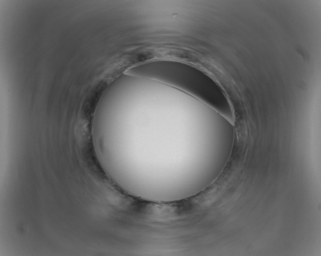 X0000111860327200907231136