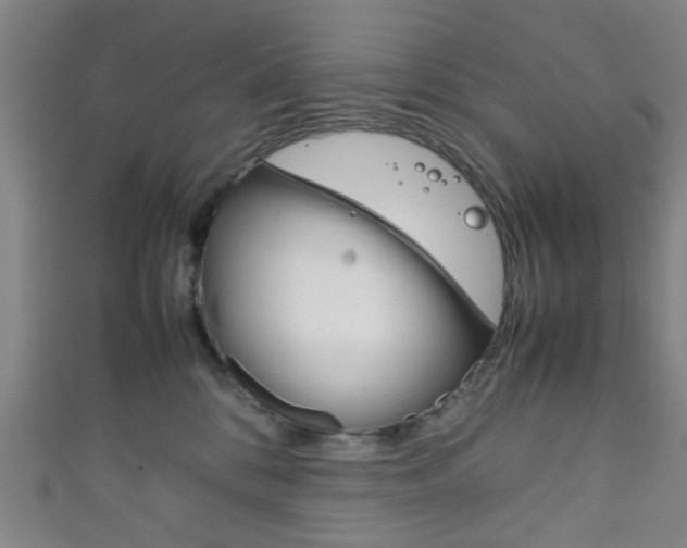 X0000111860328200907231136