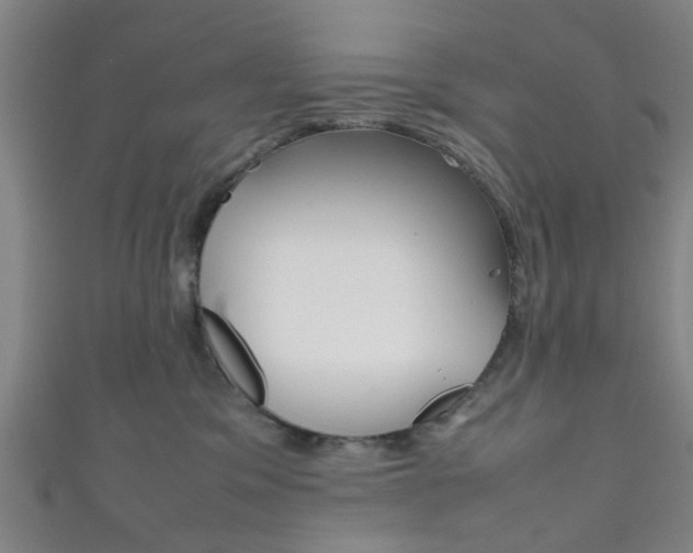 X0000111860329200907231136