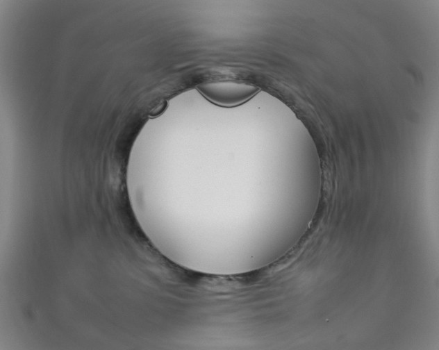 X0000111860331200907231136