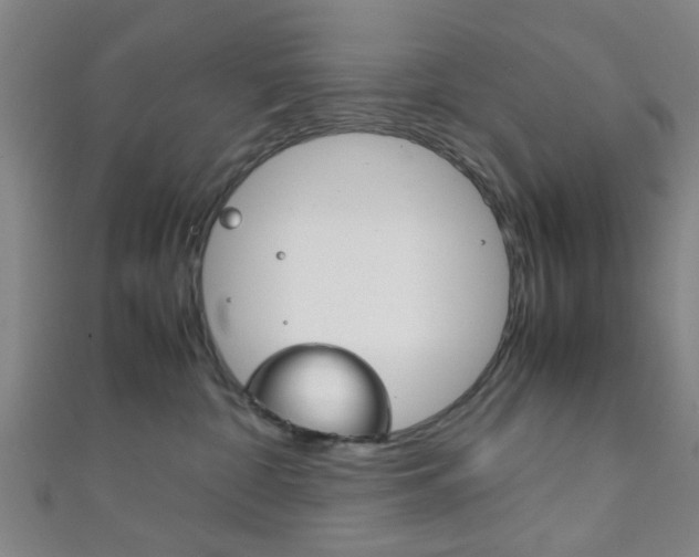 X0000111860332200907231135
