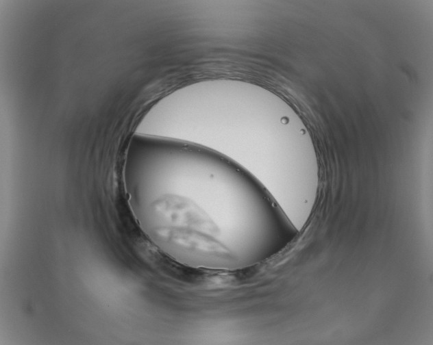 X0000111860333200907231135