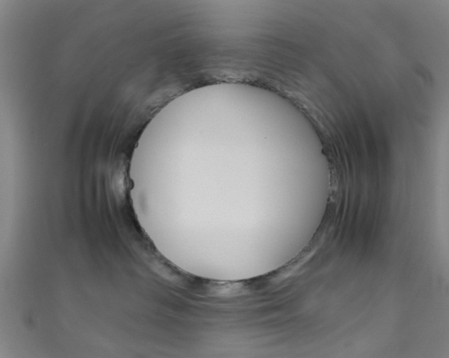 X0000111860334200907231135