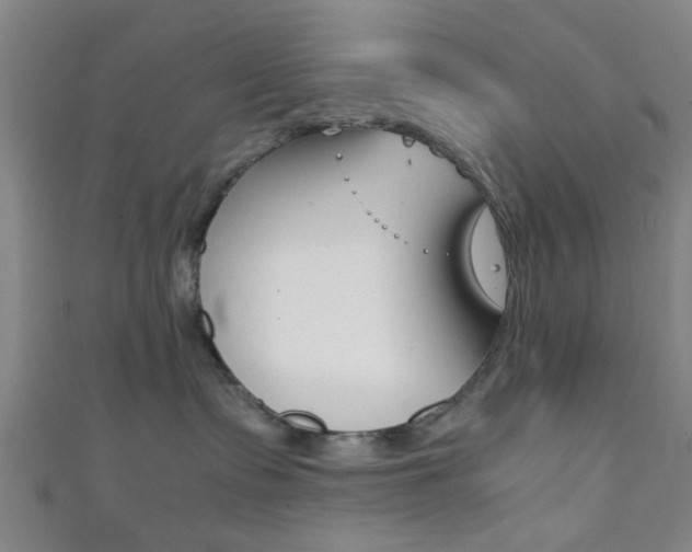 X0000111860335200907231135