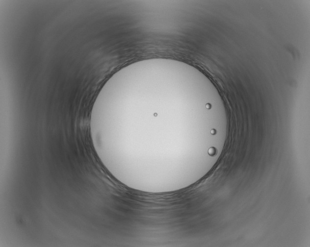 X0000111860336200907231135