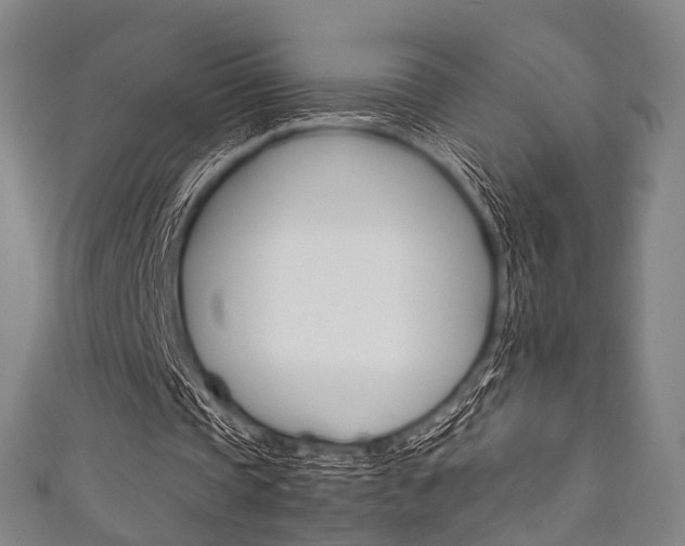 X0000111860337200907231135