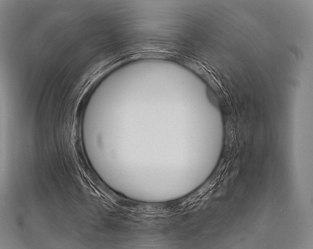 X0000111860338200907231135