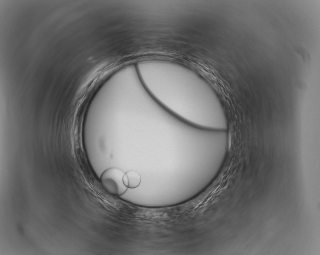 X0000111860339200907231135
